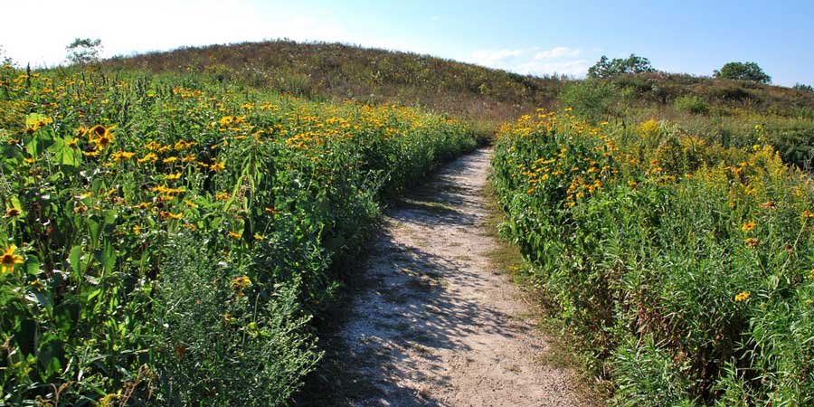 Prairie path